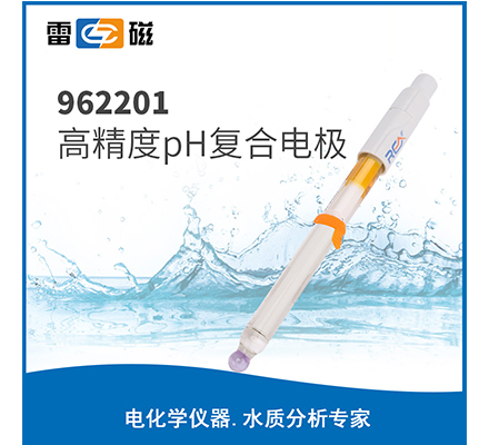 962201 高精度pH復合電極